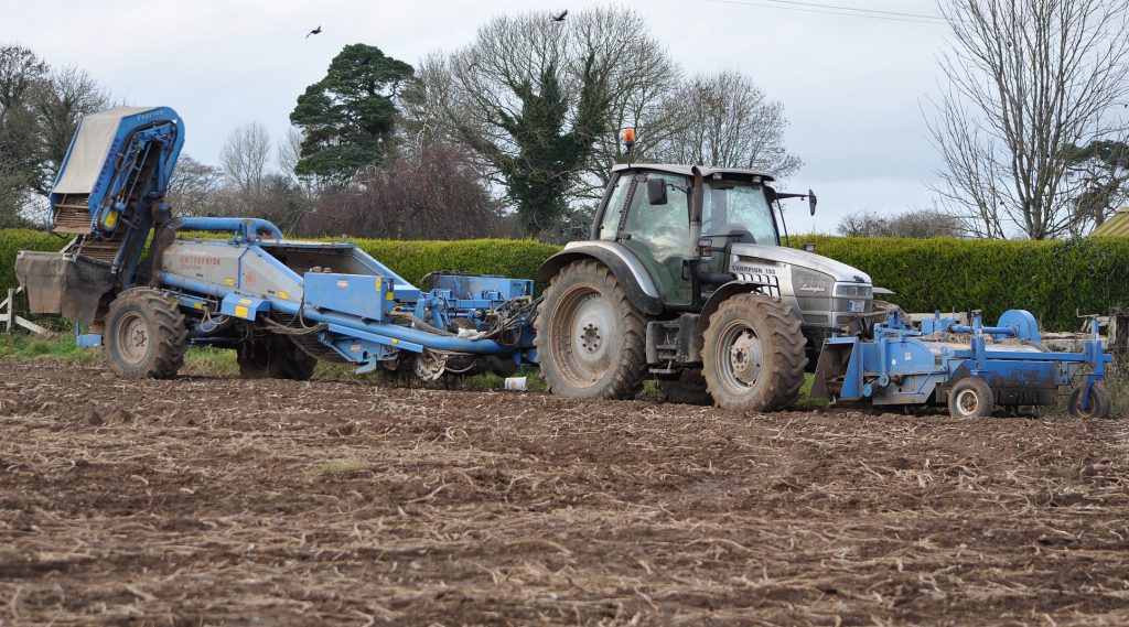 Image source: Shane Casey