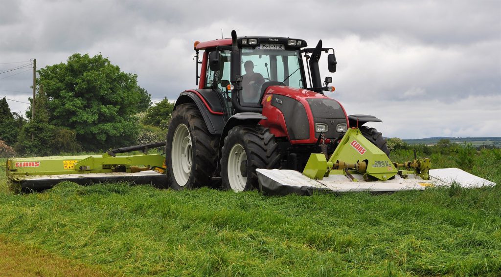 Image source: Shane Casey