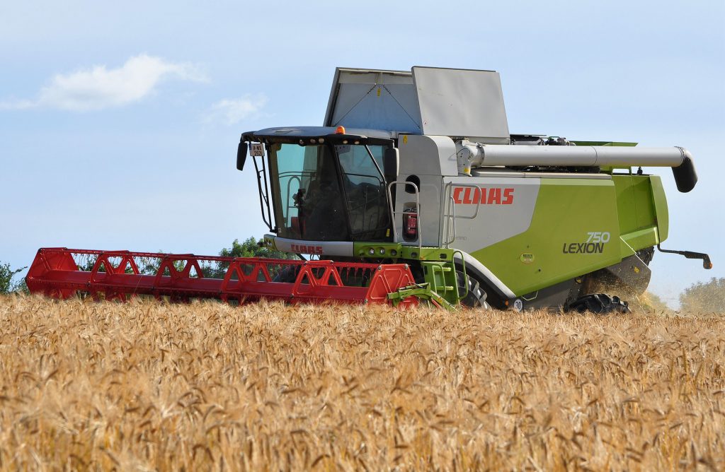 Image source: Shane Casey