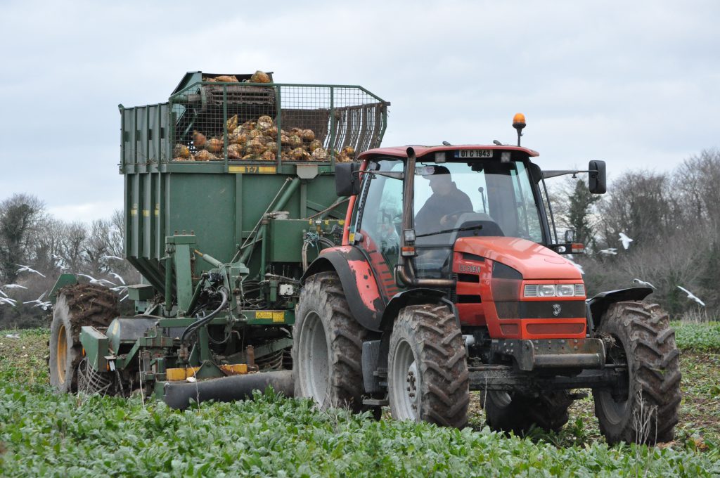 Image source: Shane Casey