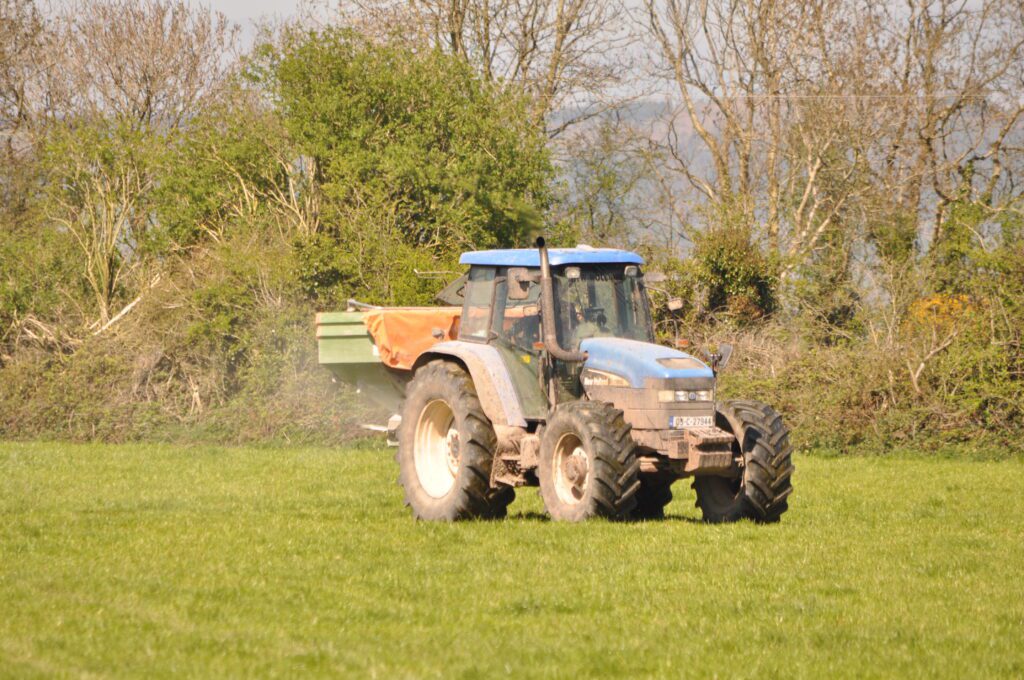 Image source: Shane Casey