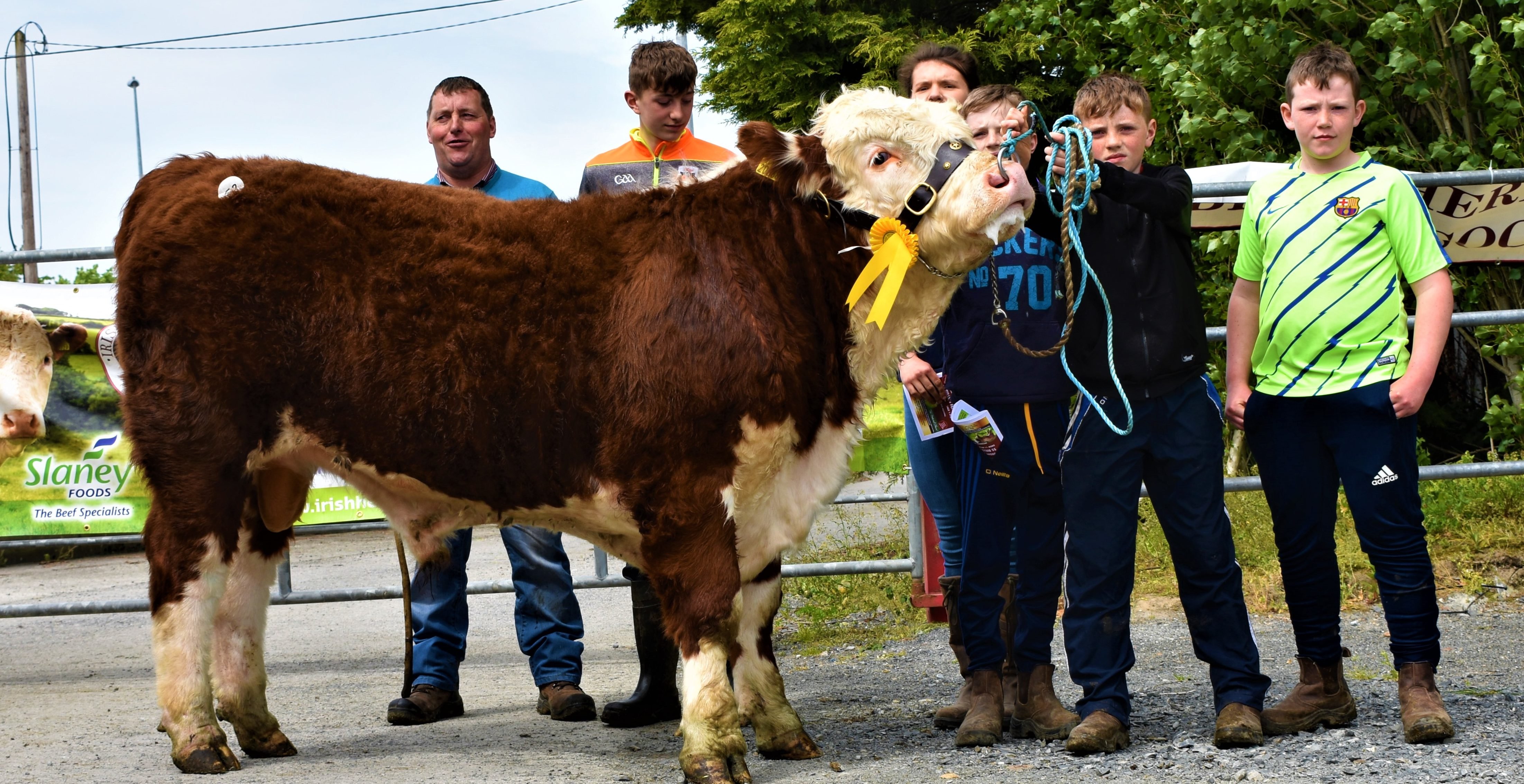 Ballinveney Tiger. L-R: Rory and Daniel Farrell; Catherine Smyth; Seamus and Brian Farrell; and Conor Gleeson