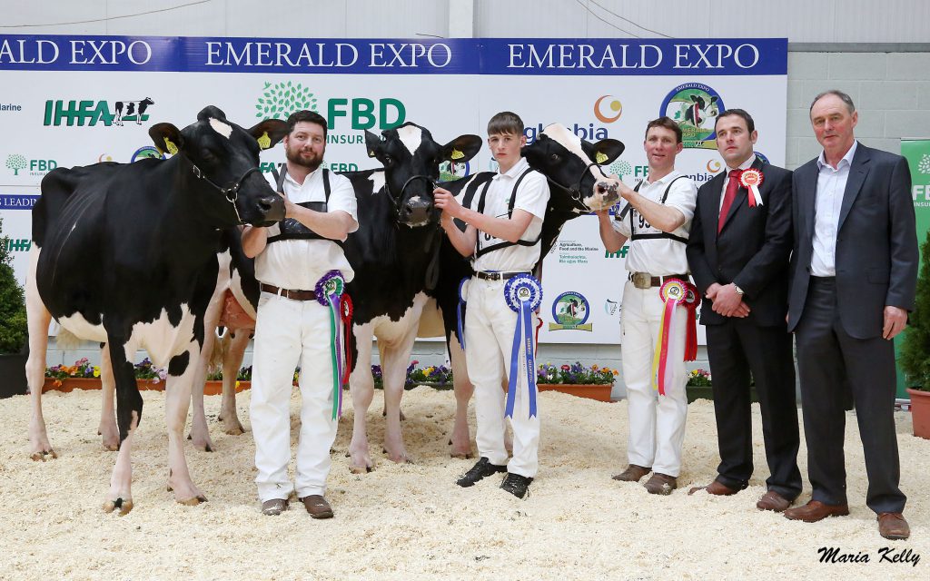 L-R: Honourable mention – Ortongrange Doorman Arangatang, Steven McLoughlin at halter; reserve – Clonpaddin DZU Robin, Mark Hurley at halter; champion – Hallow Attwood Grace, Philip Jones at halter; judge, Ben Yates; and Glanbia’s John Murphy. 