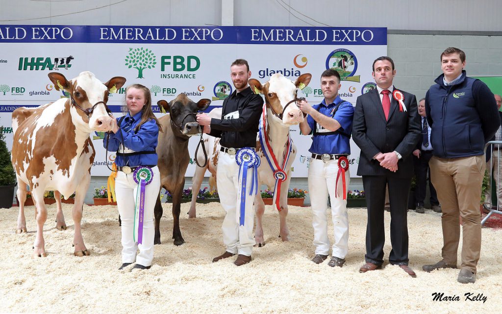 L-R: Champion – Lady Whitford, Hollie Keenan at halter; reserve – Suirvalley OT Starlight, Edwyn Gaynor at halter; and honourable mention – Willie’s Pam, Jamie Keenan at halter; judge, Ben Yates; and Specialist Nutrition’s Nigel Condell.