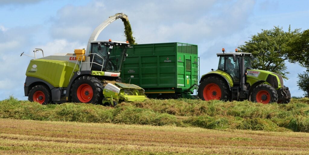 Image source: Shane Casey