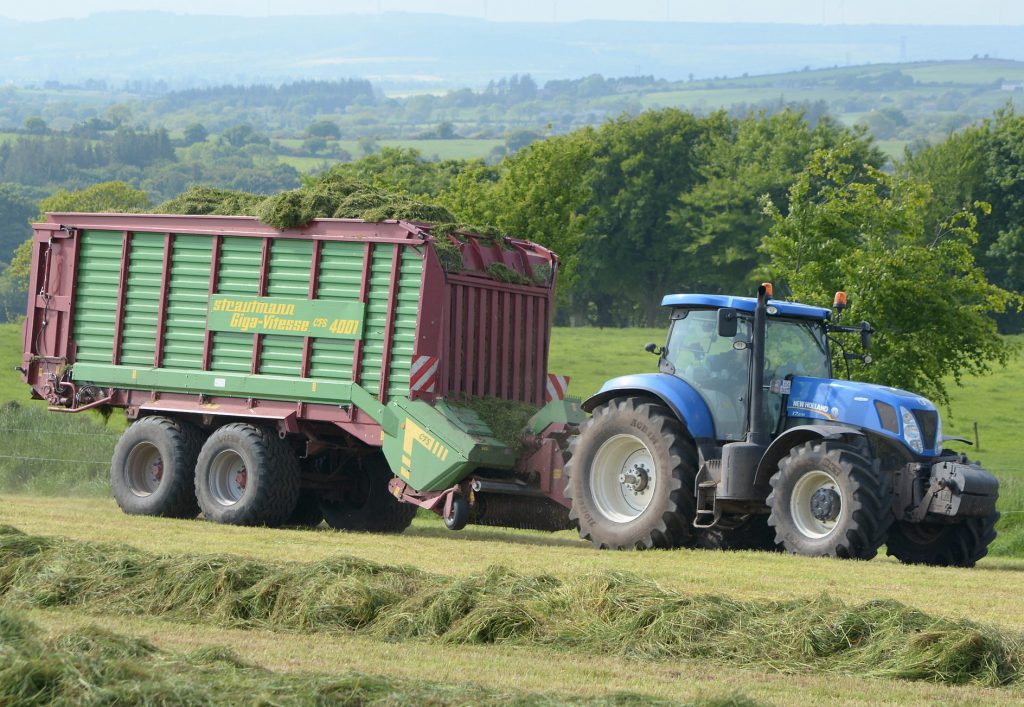 Image source: Shane Casey