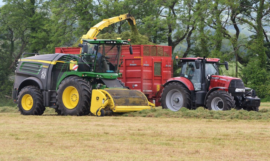 Image source: Shane Casey