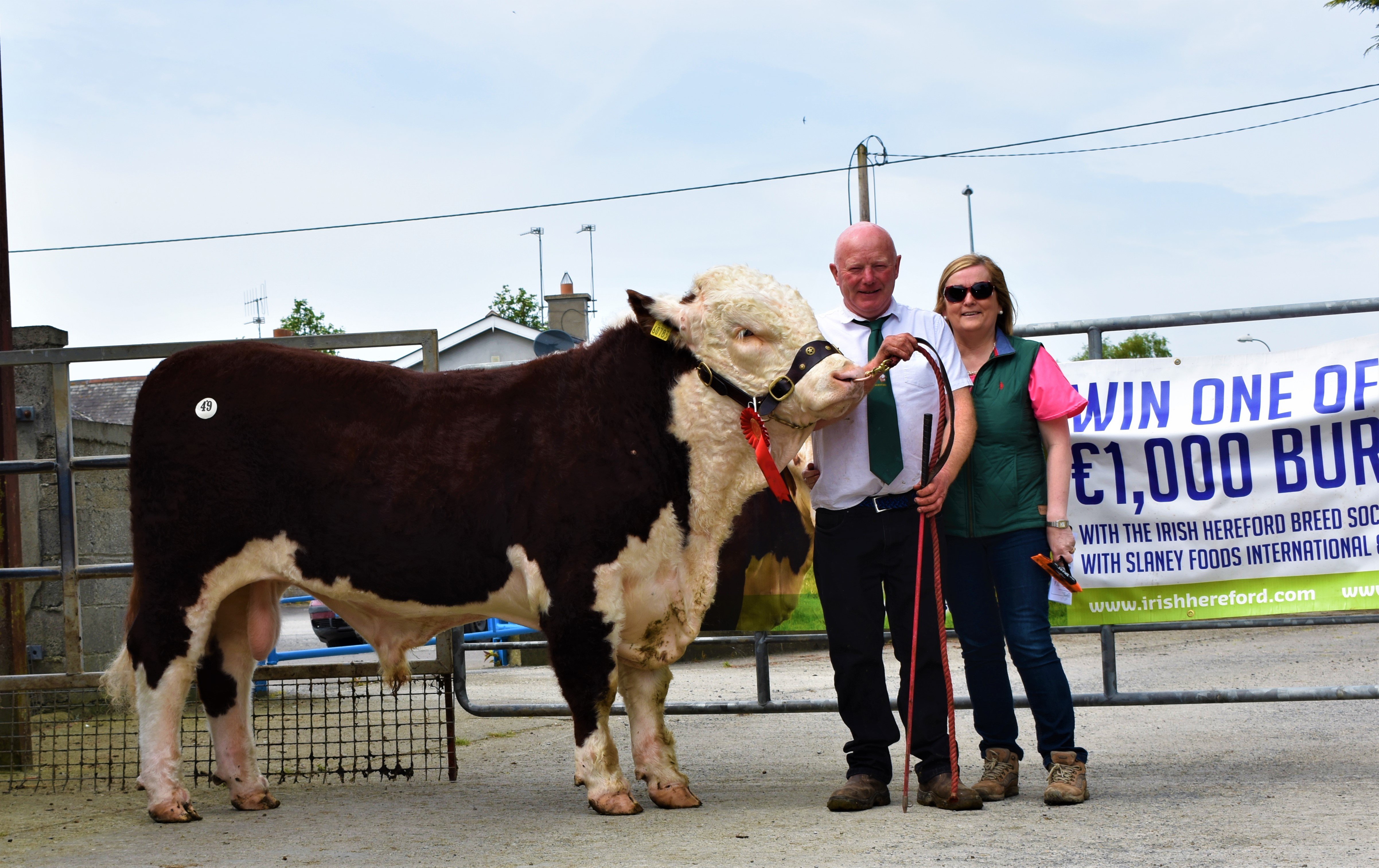 Padraig and Catherine McGrath with Kye Hotspur 783