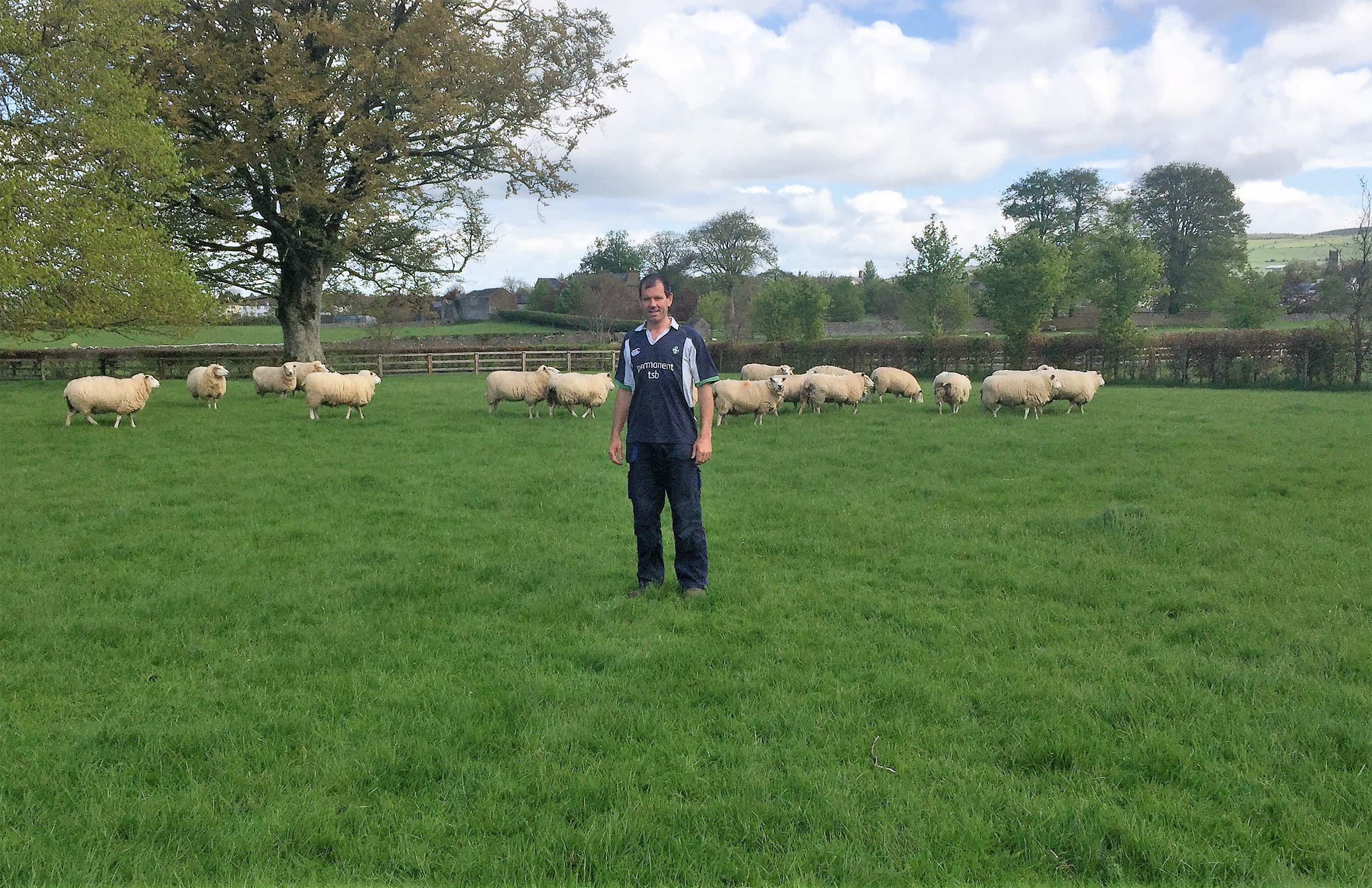 John Renahan pictured with some of his pedigree Belclare ewes