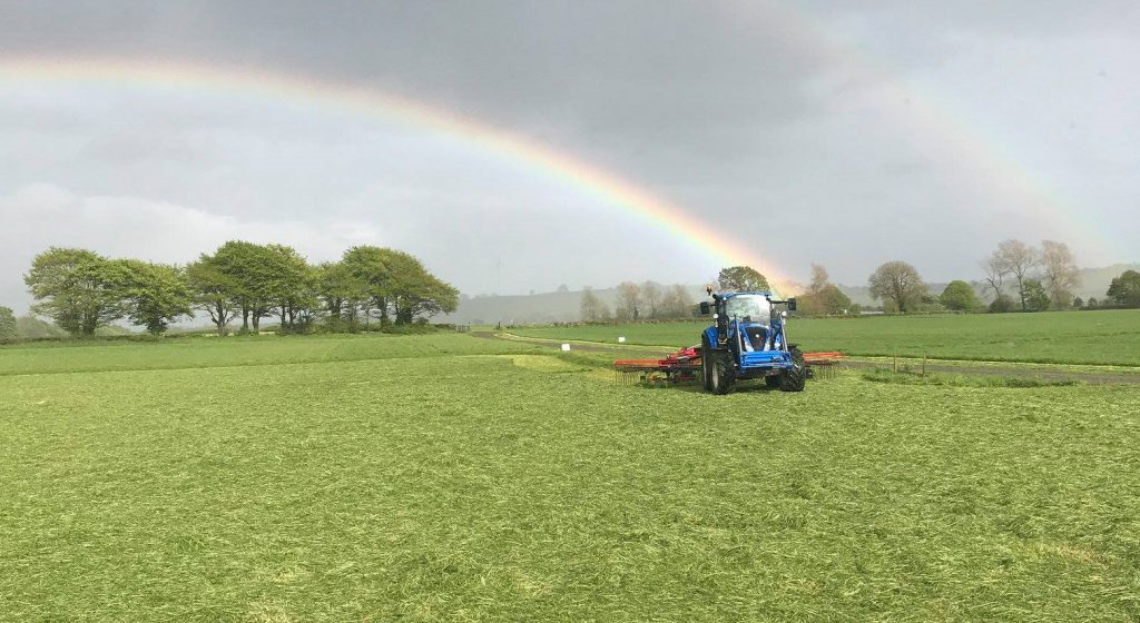 Raking up grass at the end of a rainbow on the site of next week’s ‘Grass &amp; Muck’ event (at Gurteen College). This picture was taken yesterday (Wednesday) evening