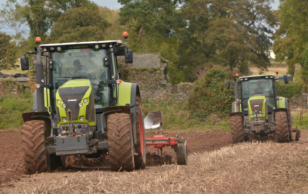 Image source: Shane Casey