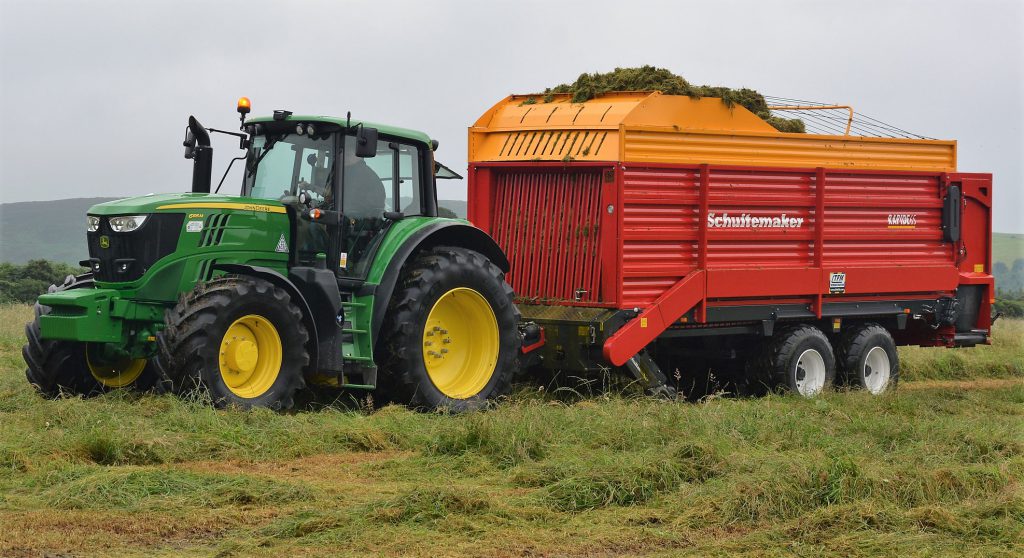 Image source: Shane Casey