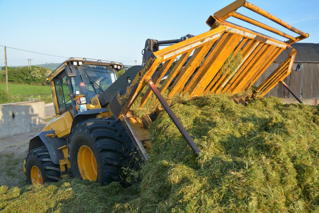 Image source: Shane Casey