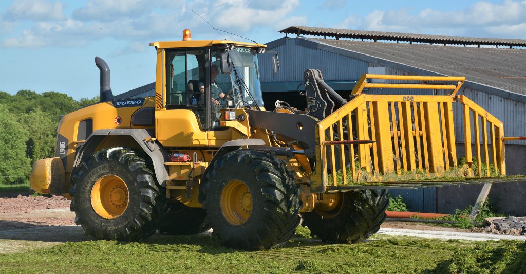 Image source: Shane Casey