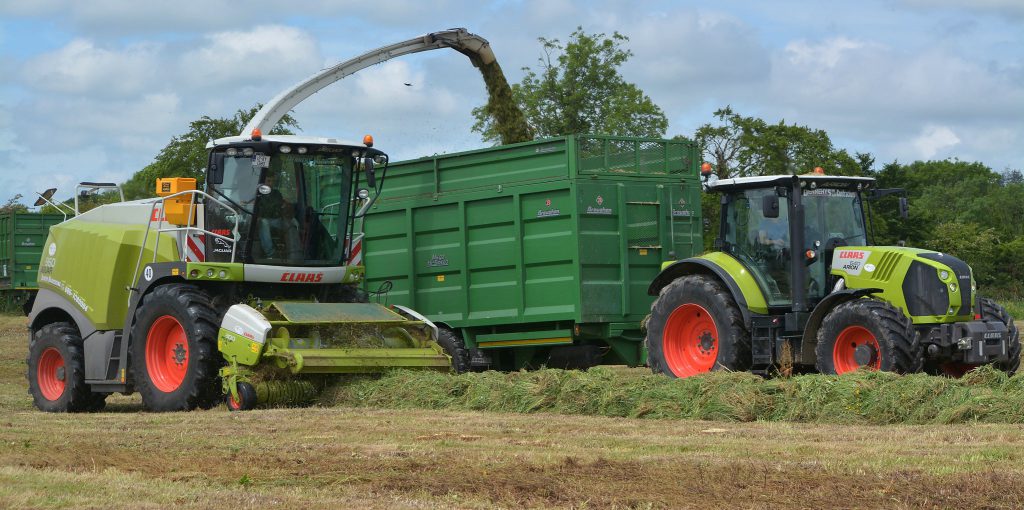 Image source: Shane Casey