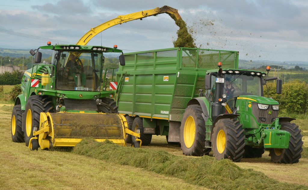 Image source: Shane Casey