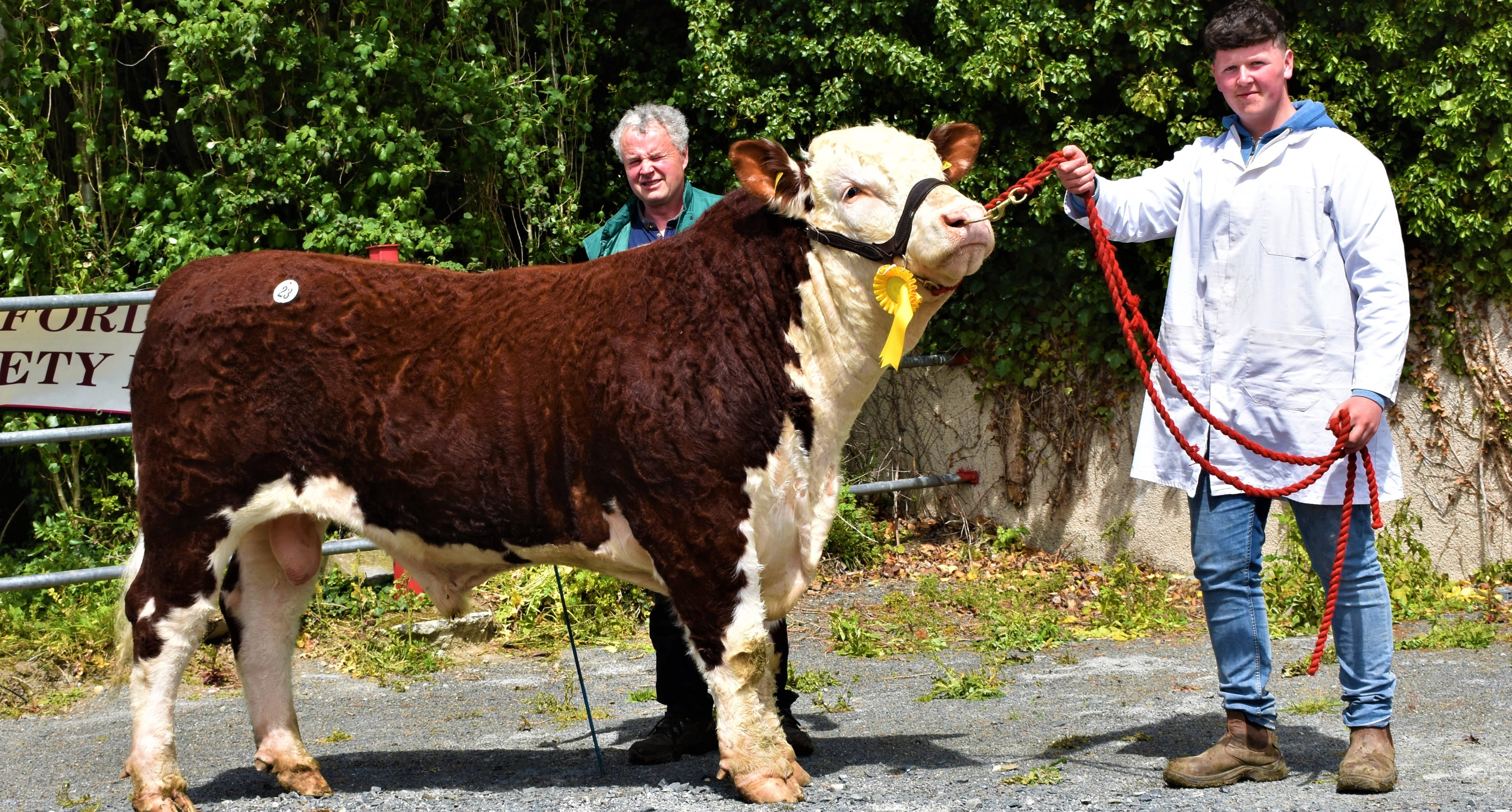 Padraig and Patrick Farrell’s “Cave Hill Pogba