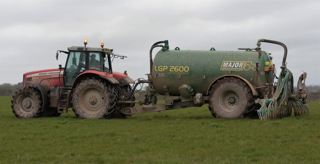 Image source: Shane Casey