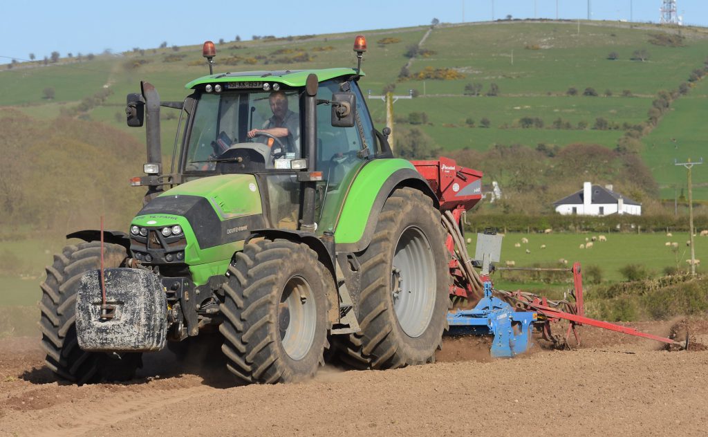 Image source: Shane Casey