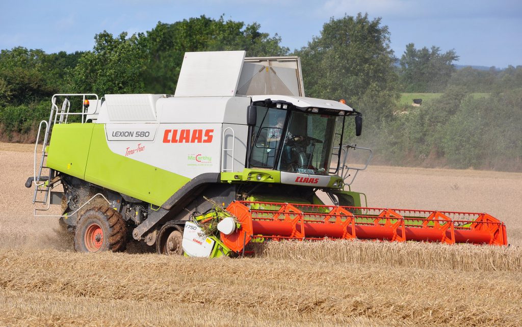 Image source: Shane Casey