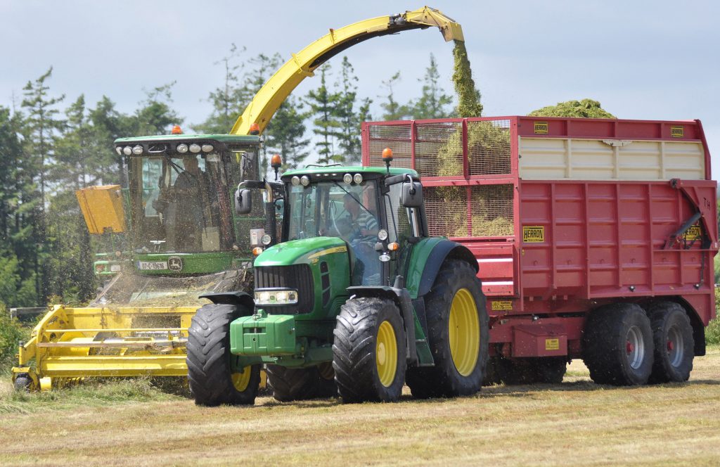 Image source: Shane Casey