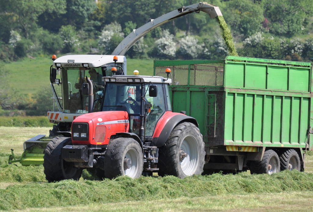 Image source: Shane Casey