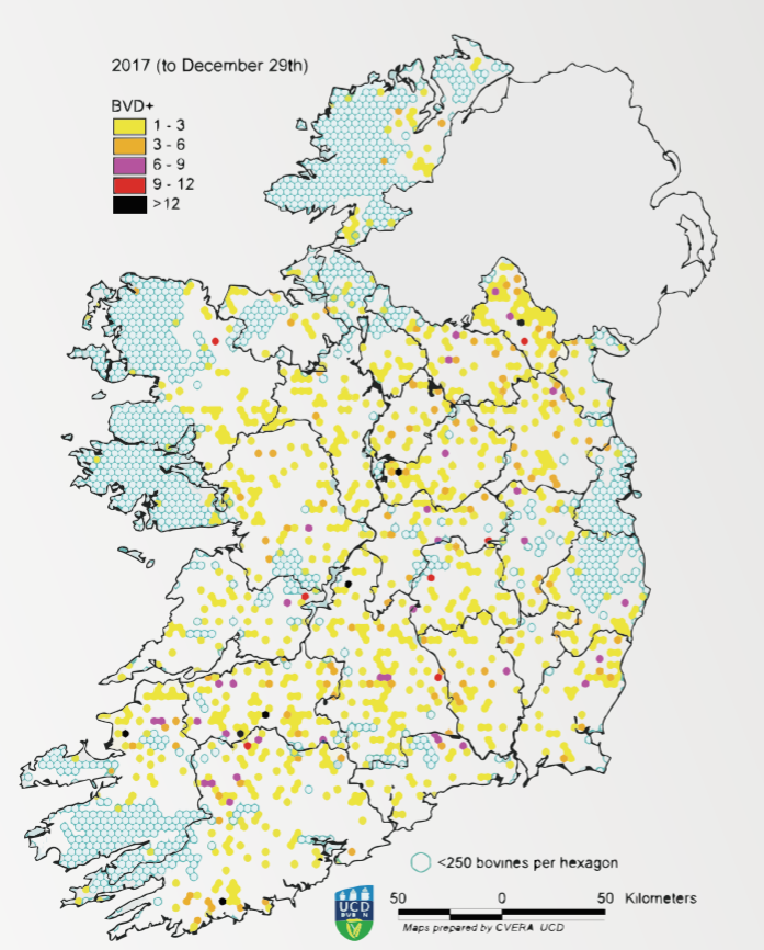 Map showing distribution of PI births during 2017. Source: Animal Health Ireland