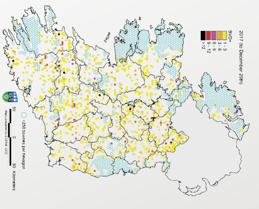 Map showing distribution of PI births during 2017. Source: Animal Health Ireland
