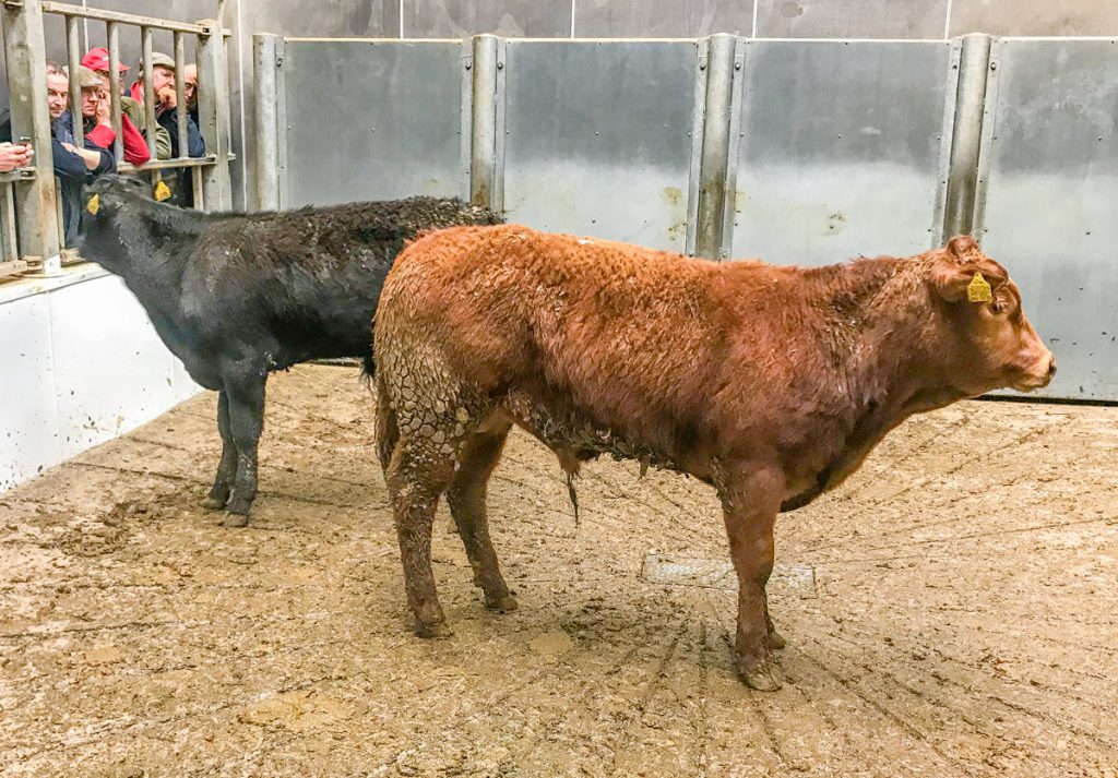 Image taken prior to Covid-19 restrictions