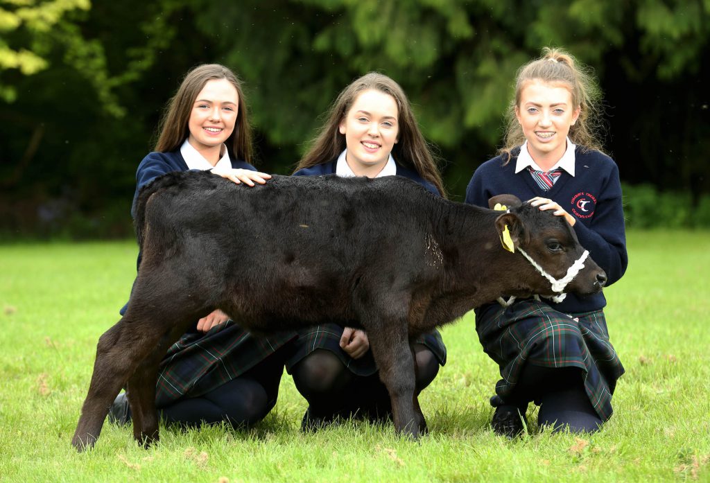 Image source: Finbarr O’Rourke