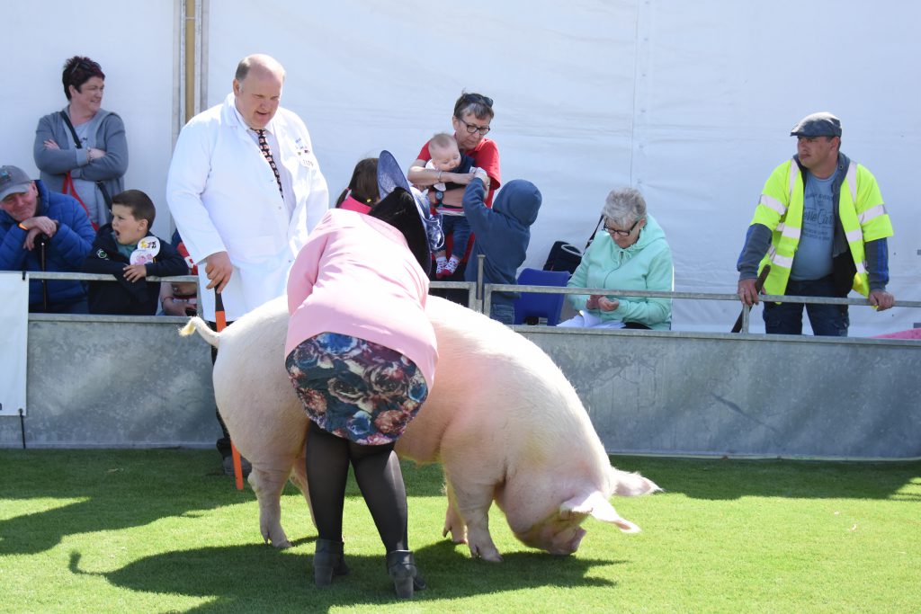 Image Source: Eilidh MacPherson