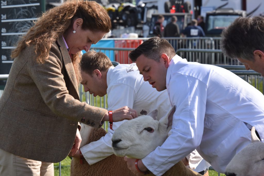 Image Source: Eilidh MacPherson