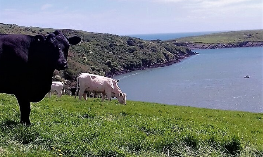 Image source: James O’Regan