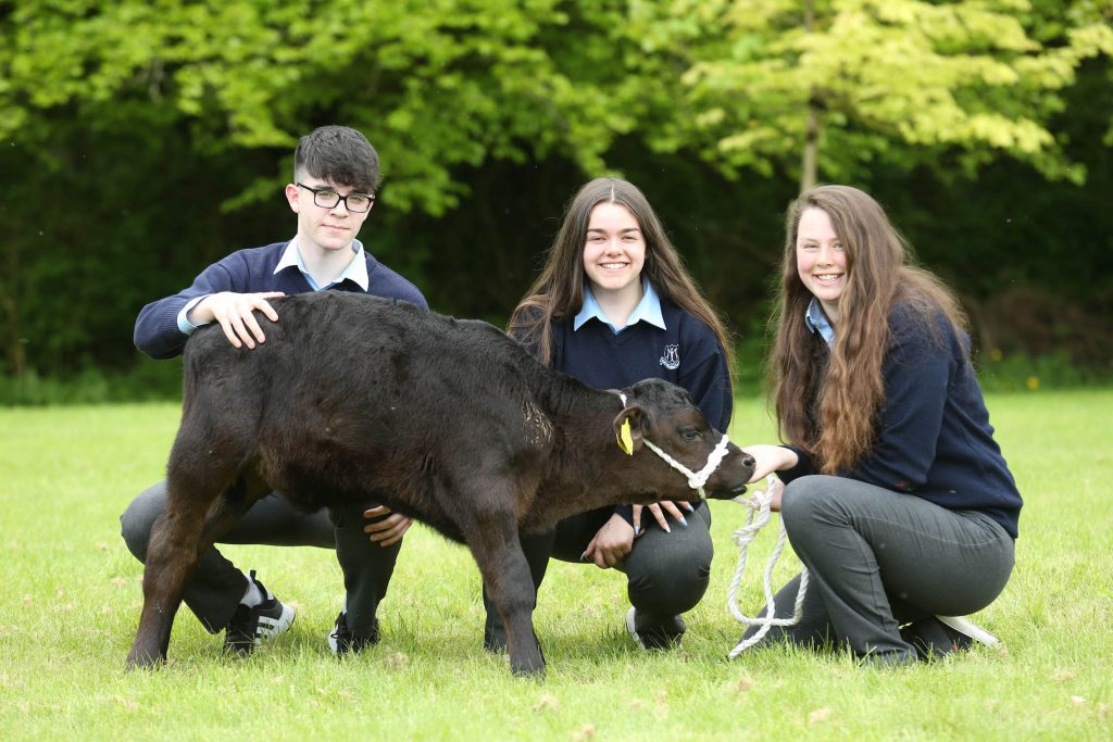 Image source: Finbarr O’Rourke