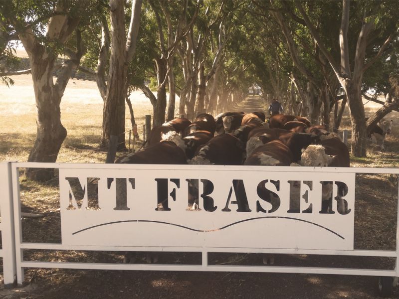 Image source: Biggin &amp; Scott Land