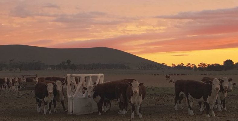 Image source: Biggin &amp; Scott Land