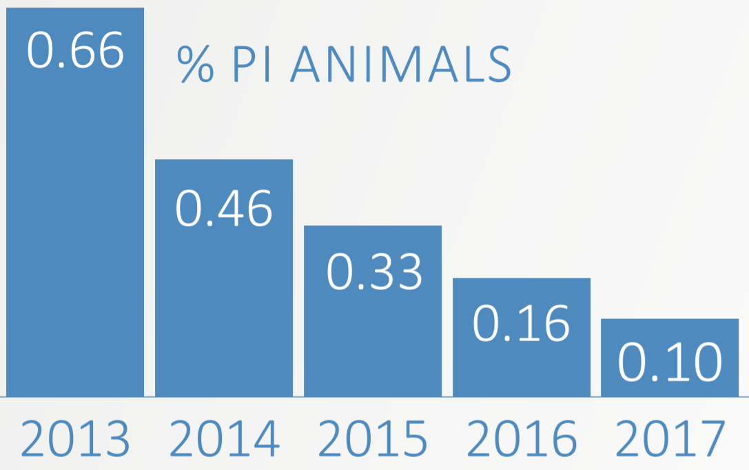 Animal-level prevalence (%) of PI calves born during each year of the programme. Source: Animal Health Ireland
