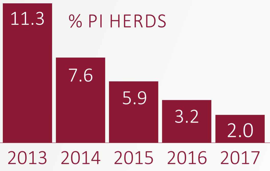 Prevalence (%) of herds with PI calves born during each year of the programme. Source: Animal Health Ireland