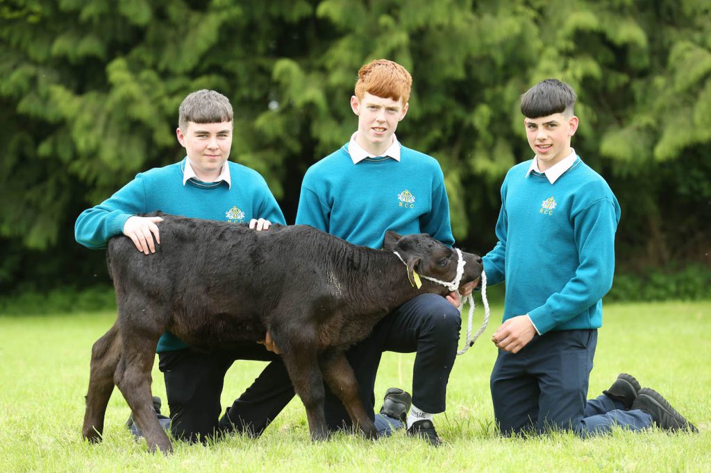 Image source: Finbarr O’Rourke