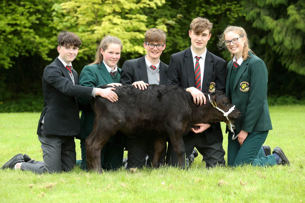 Image source: Finbarr O’Rourke