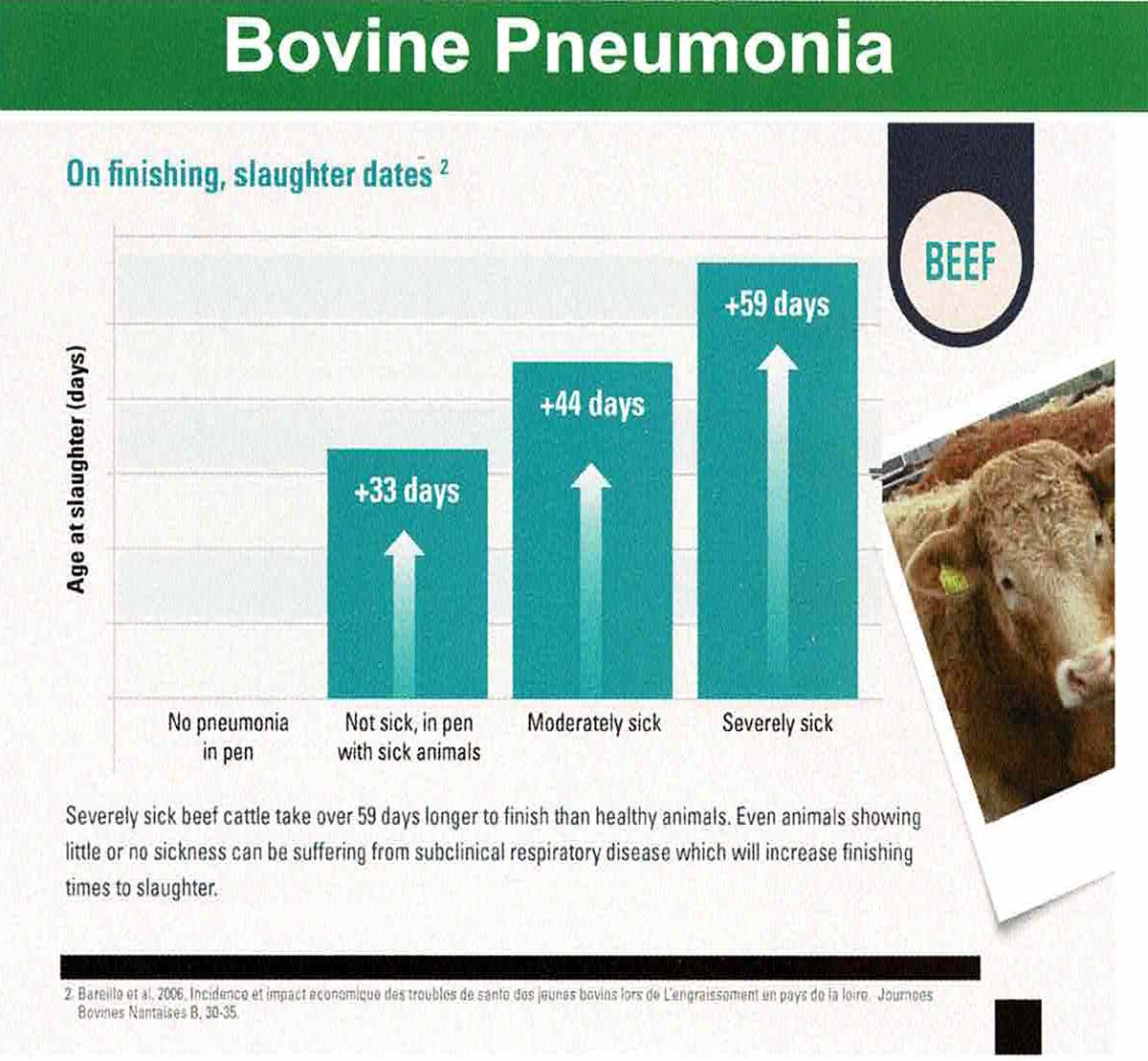 Source: Irish Grassland Association and MSD Animal Health