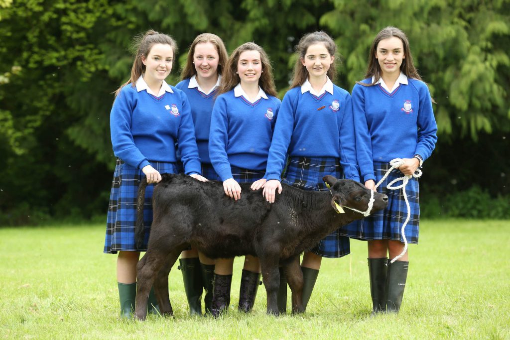 Image source: Finbarr O’Rourke