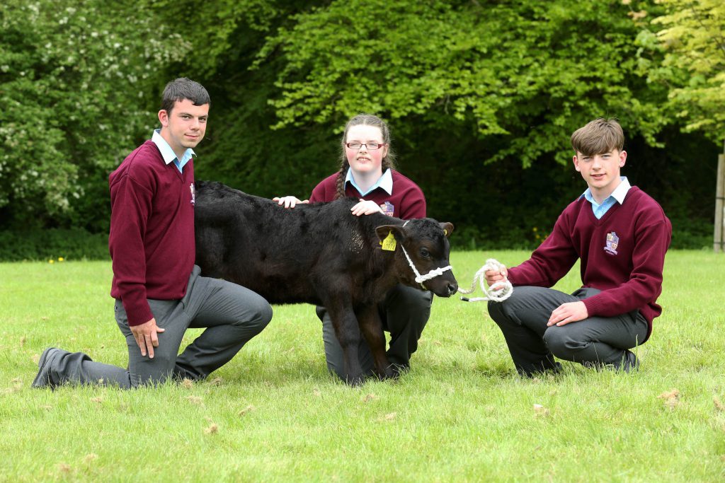 Image source: Finbarr O’Rourke