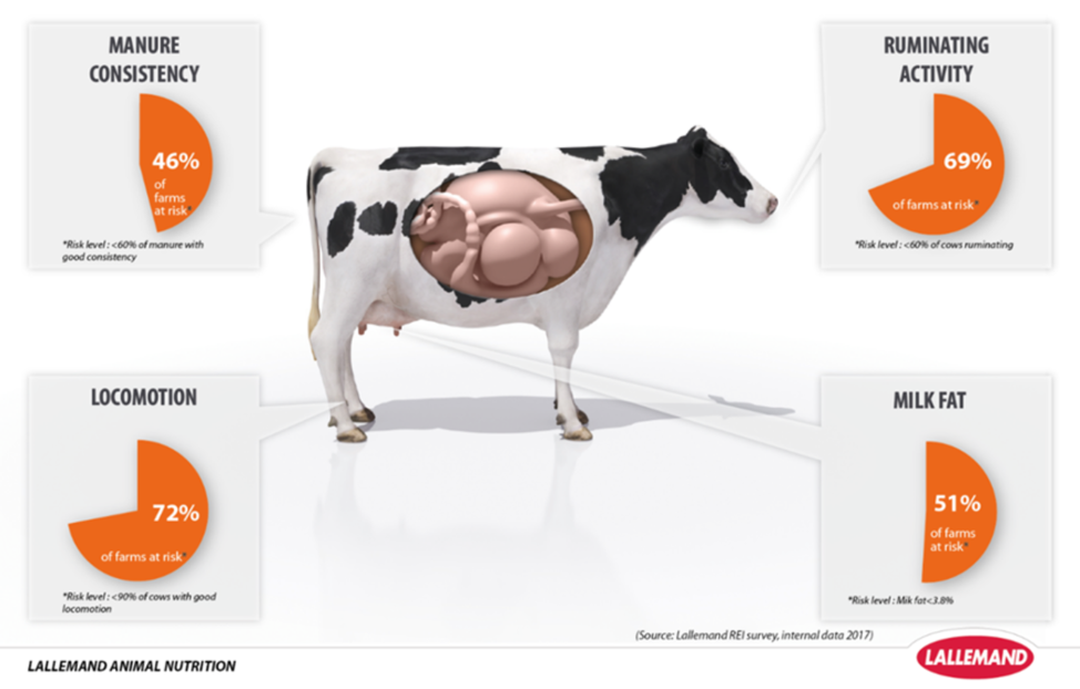 Figure 2: Survey of dairy farms in relation to four key rumen efficiency indicators (Lallemand internal data, 2017)