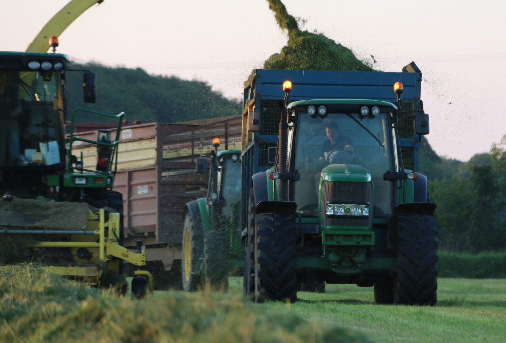 Martin Contracts at work in Greyabbey, Co. Down