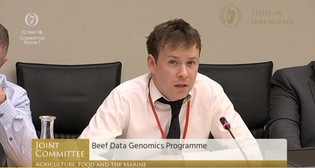 Secretary of the Irish Charolais Cattle Society (ICCS), Nevan McKiernan