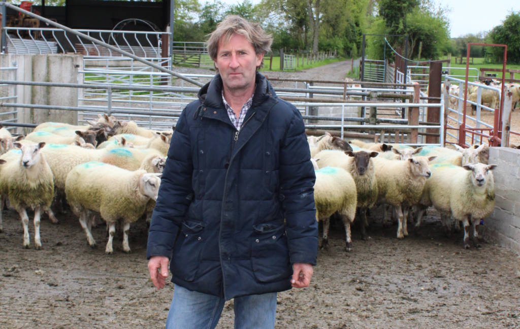 Co. Meath sheep farmer, Hugh Doyle