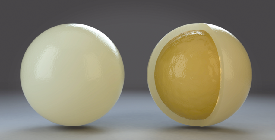 Figure 4: A model illustrating the TITAN encapsulation technology unique to LEVUCELL SC