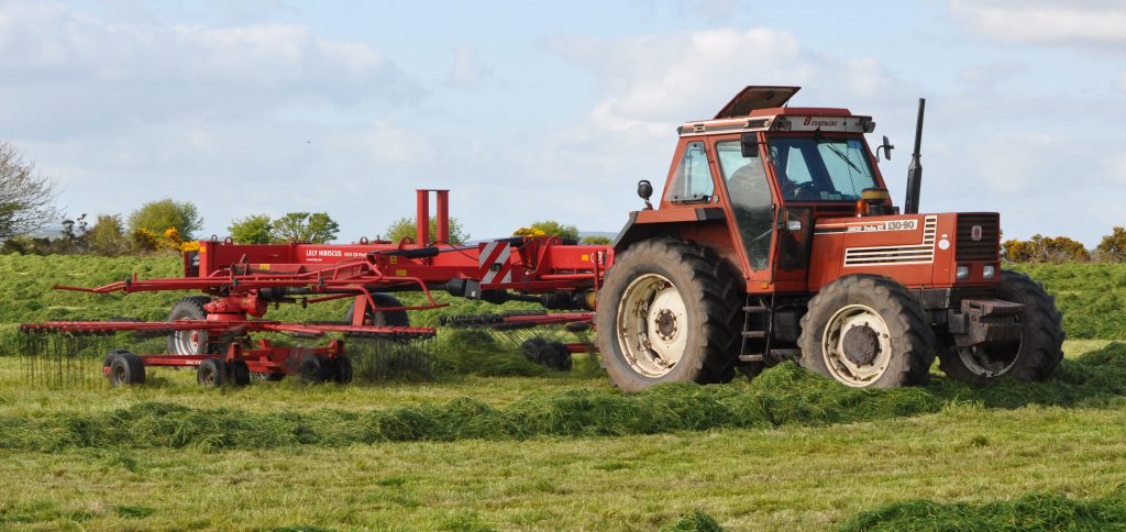 Image source: Shane Casey