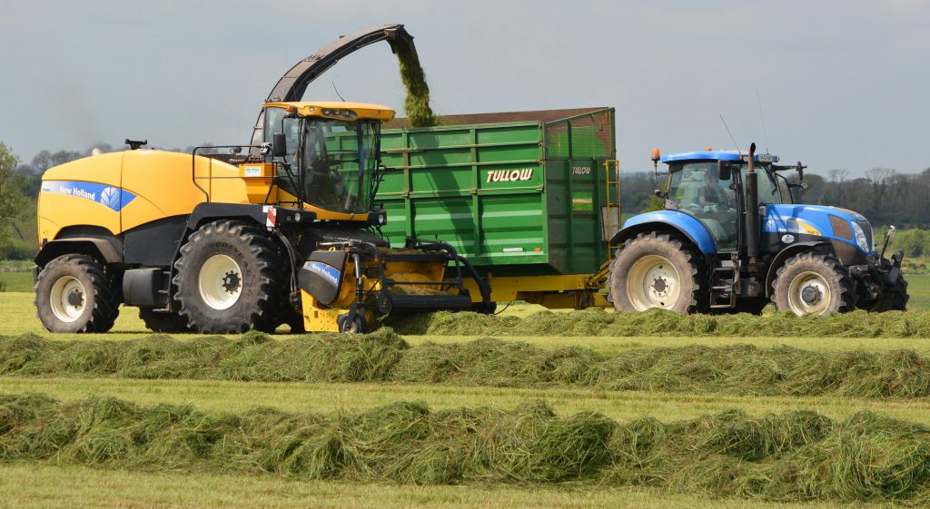 Image source: Shane Casey